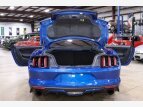 Thumbnail Photo 47 for 2017 Ford Mustang